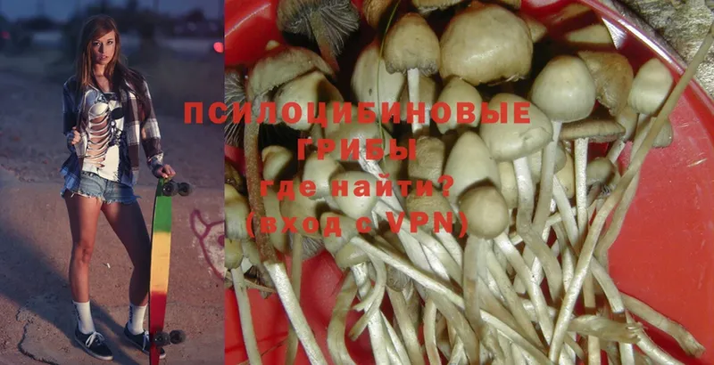 МЕГА зеркало  shop как зайти  Галлюциногенные грибы Psilocybe  Кирс 